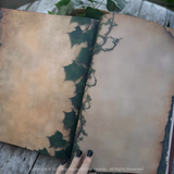Book Of Shadows - The Maiden
