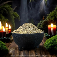 Fennel Seed