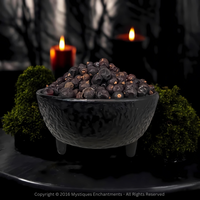 Juniper Berries