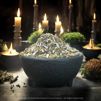 Motherwort