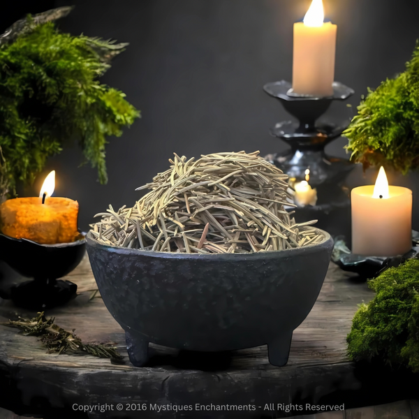 Pine Needles
