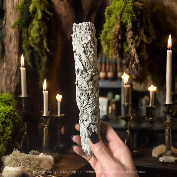 White Sage Smudge Stick