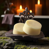 Solid Hair Conditioner Bar 110g