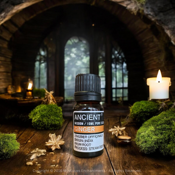 Ginger Essential Oil 10ml