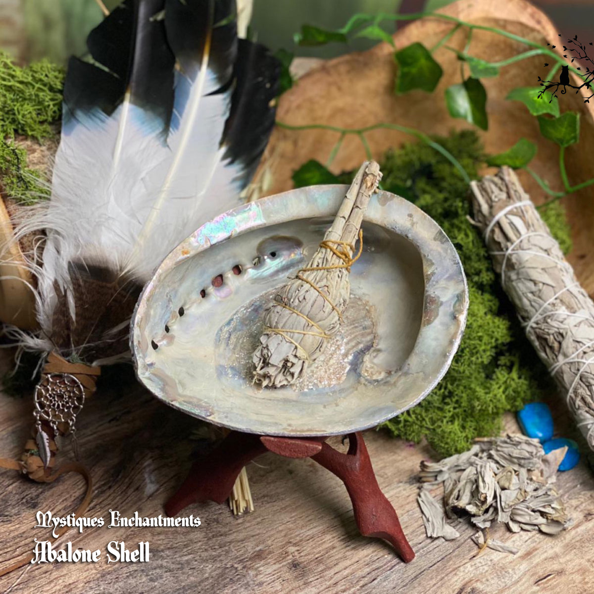Abalone Shell - Large – Mystiques Enchantments Home of Holistic Magick ...