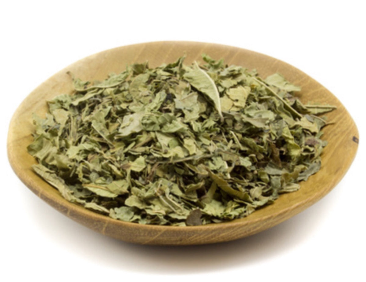 Lemon Verbena – Mystiques Enchantments Home of Holistic Magick ...