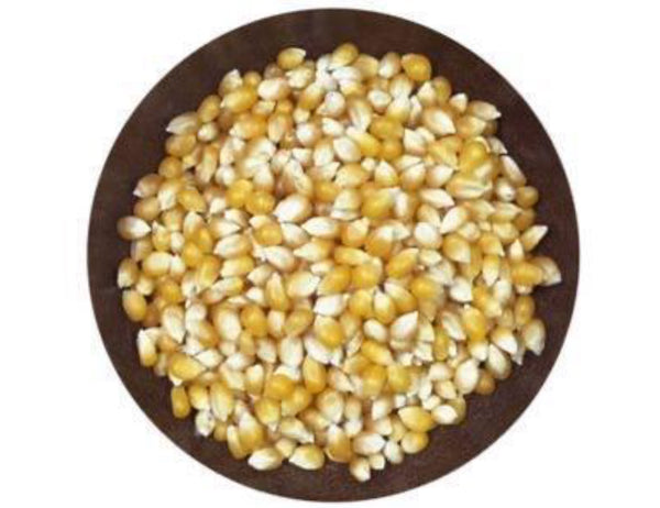 Corn - Herb Range